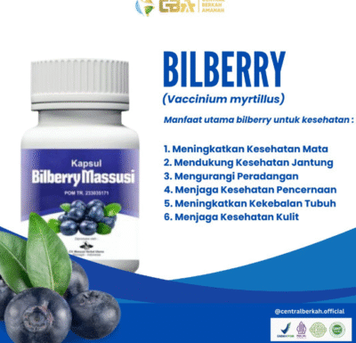 Bilberry Massusi Suplemen Herbal Mata